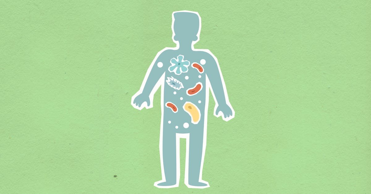 Wewnątrz tarczy organizmu: jak krok po kroku działa nasz układ odpornościowy