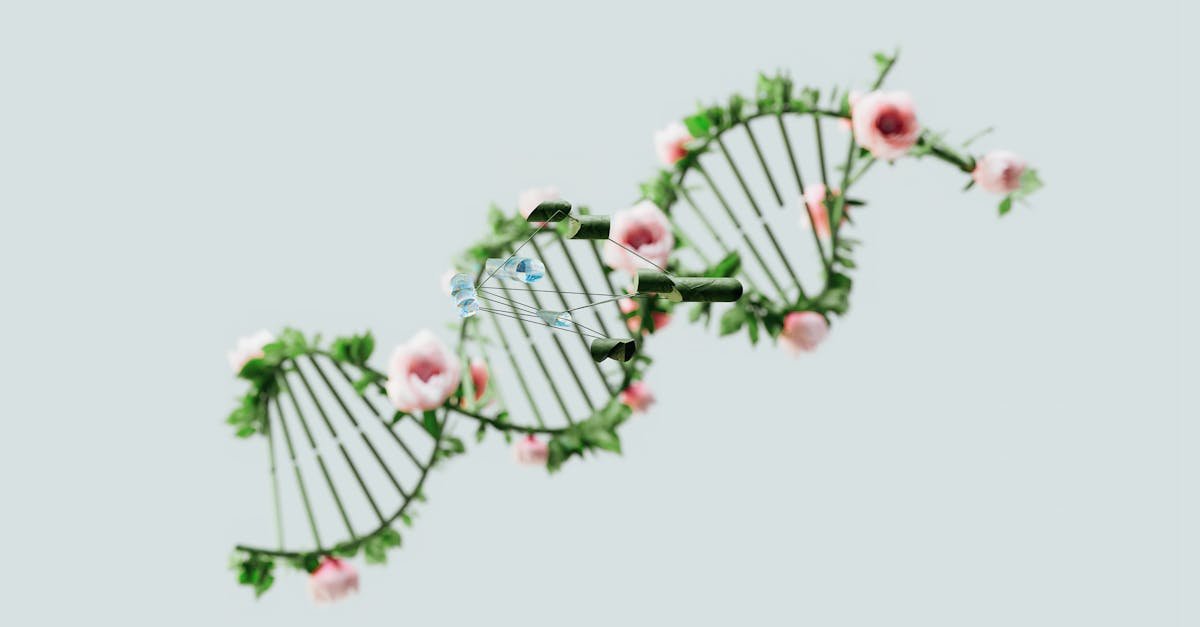 Instrukcja obsługi człowieka: co zawiera DNA i jak steruje naszym ciałem