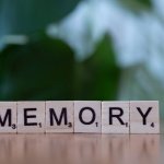 Od migawki do archiwum: jak Twój mózg zamienia chwilowe informacje w trwałe wspomnienia