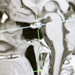 Mózg bez tajemnic: proste wyjaśnienie, jak myślimy, czujemy i zapamiętujemy