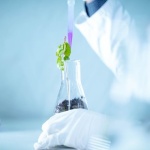 Biologia syntetyczna w praktyce: projektowanie życia, które leczy, karmi i chroni planetę