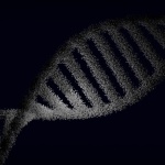 CRISPR w prostych słowach: jak działają nożyczki genowe i co dzięki nim potrafimy