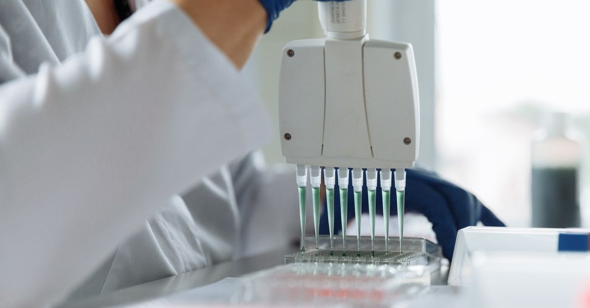Białka na zamówienie: Jak laboratoria tworzą molekuły przyszłości